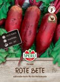 Rote Rbe "Forono" - Beta vulgaris