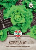 Kopfsalat "Dynamite" - Lactuca sativa