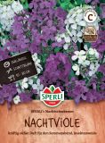 Hesperis matronalis "SPERLI