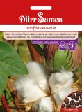 Gossypium herbaceum - Topfbaumwolle