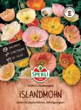 Papaver nudicaule "Zauberspiel" - Islandmohn