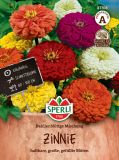 Zinnia elegans "Dahlienbltige Mischung" - Zinnie