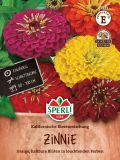 Zinnia elegans "Kalifornische Riesen Mischung" - Zinnie