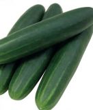 Salatgurke "Paska F1" - Cucumis sativus