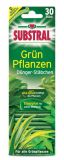 Substral Grnpflanzen-Dngestbchen