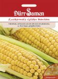 Zuckermais "Golden Bantam" - Zea mays convar. saccharata