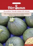 Zucchini "Tondo chiaro di Nizza" - Cucurbita pepo