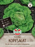 Kopfsalat "Meikoenigin" - Lactuca sativa var. capitata