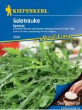 Salatrauke "Speedy" (5 Saatscheiben) - Eruca sativa