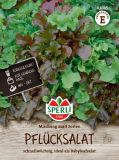 Babyleaf-Salat "Mix aus 3 Sorten" - Lactuca sativa