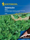 Salatrauke (Saatband 5 m) - Eruca sativa