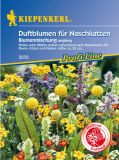 Duftblumen fr Naschkatzen