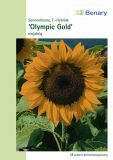 Helianthus annuus "Olympic Gold" F1-Hybride - Sonnenblume