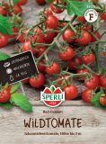 Wildtomate / Johannisbeertomate "Red Currant" - Solanum pimpinellifolium