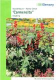 Ricinus communis "Carmencita Rot"