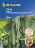 Mini-Gurke "Picolino F1" - Cucumis sativus