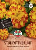 Tagetes patula "Flamenco" - Studentenblume