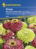 Zinnia elegans "Red Lime & Green Lime" - Zinnie