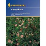 Perserklee - Trifolium resupinatum - Grndnger