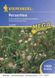 Perserklee - Trifolium resupinatum - Grndnger