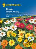 Zinnia x hybrida "Profusion Mix" - Zinnie