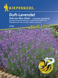 Lavandula angustifolia "Hidcote Blue Strain" - Lavendel