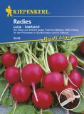 Radies "Lucia F1" (Saatband 5 m) - Raphanus sativus var. sativus