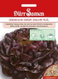 Salanova-Salat "Seurat RZ" - Lactuca sativa