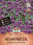 Monarda citriodora - Zitronen-Indiandernessel