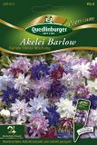 Aquilegia vulgaris "Barlow Choice Mischung" - Akelei