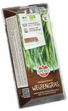 Microgreen Grow-Kit "Weizen" Anzuchtset (Bio)