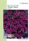 Petunia hybrida "Wave F1 Purple" - Hngepetunie