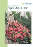 Begonia semperflorens "Super Olympia Rosa", F1 - Hybride Begonie