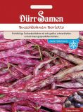 Buschbohne "Borlotto" - Phaseolus vulgaris