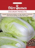 Chinakohl "Parkin F1" - Brassica rapa ssp. pekinensis