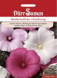 Lavatera trimestris "Bechermalve Mischung" - Bechermalve