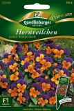 Viola cornuta "Sorbet Orange Duet " - Hornveilchen