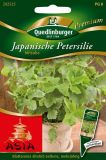 Japanische Petersilie "Mitsuba" - Cryptotaenia japonica