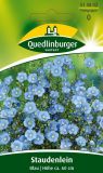 Linum perenne "Blau" - Staudenlein