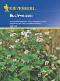 Buchweizen - Fagopyrum esculentum - Grndnger