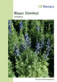 Aconitum napellus "Newry Blue" - Blauer Eisenhut