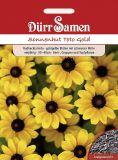 Rudbeckia hirta "Toto Gold" - Sonnenhut