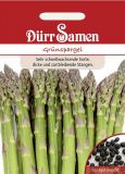 Spargel "Grnspargel" - Asparagus officinalis