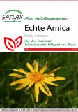 Arnica montana - Echte Arnika