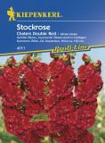 Alcea rosea "Chaters Double Red" - Stockrose