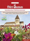 Blumenmischung Reichenauer Bltensommer, einjhrig, 60-80cm, 6m