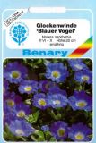 Nolana napiformis "Blauer Vogel" - Glockenwinde