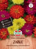 Zinnia marylandica "SPERLI