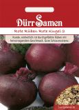 Rote Rbe "Rote Kugel 2" - Beta vulgaris var. vulgaris