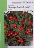 Cocktailtomate "Benarys Gartenfreude" - Solanum lycopersicum